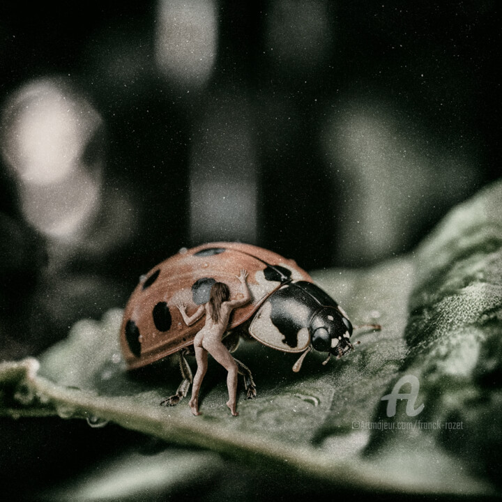Insecte 6 Digital Arts, 39,4x39,4 in