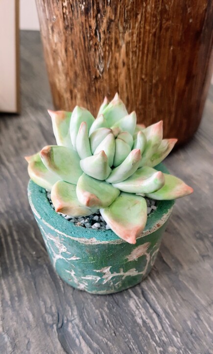 Polymer clay succulent and bohemian planter 设计, 3.2x2.4 in