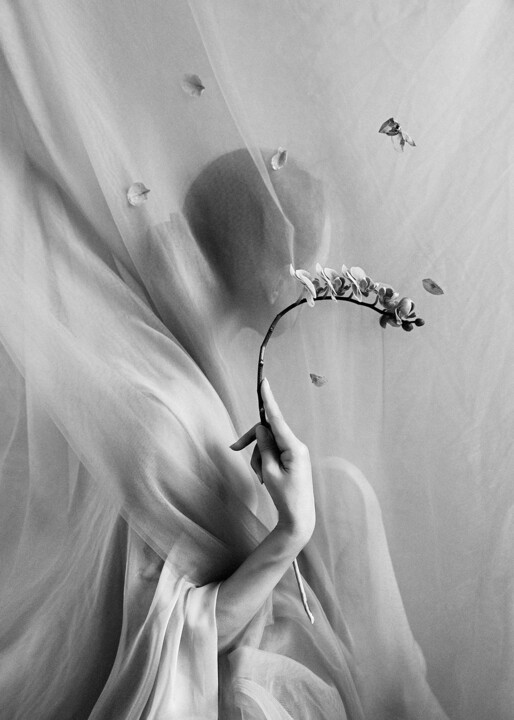 Whispers of Time - No.1 Photography, 27.6x19.7 in