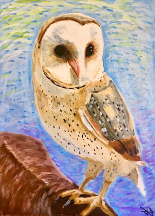 绘画 标题为“White owl” 由Hugo Silva, 原创艺术品, 粉彩