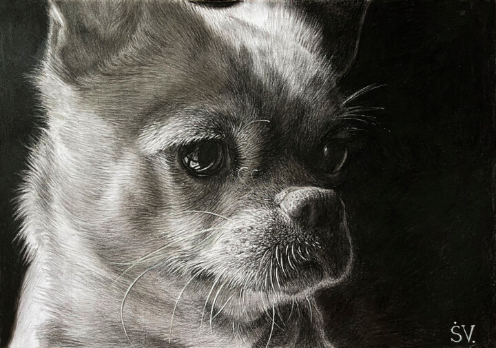 Mon ami nommé Persik 图画, 13.8x19.7 in