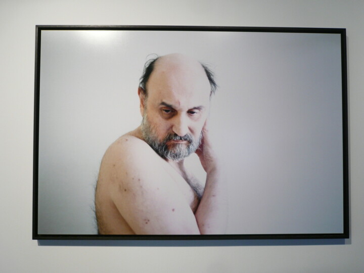 Fotografie mit dem Titel "sans titre 2 (série…" von Sylvain Barberot, Original-Kunstwerk, Analog Fotografie Auf Aluminium mo…