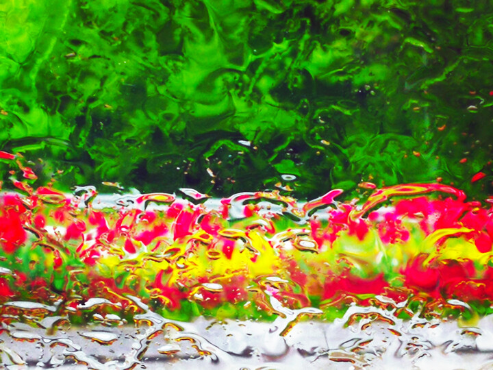 Blumenwiese Photography, 19.7x29.5 in
