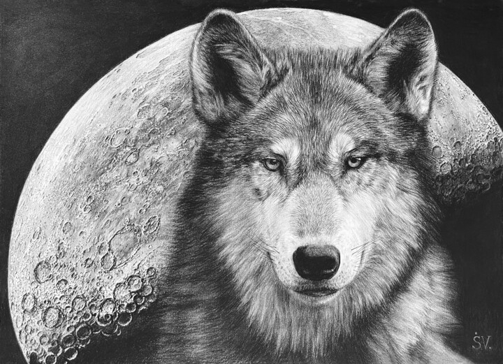 Le Loup et la Lune – Dessin symbolique au fusain 图画, 19.7x27.6 in