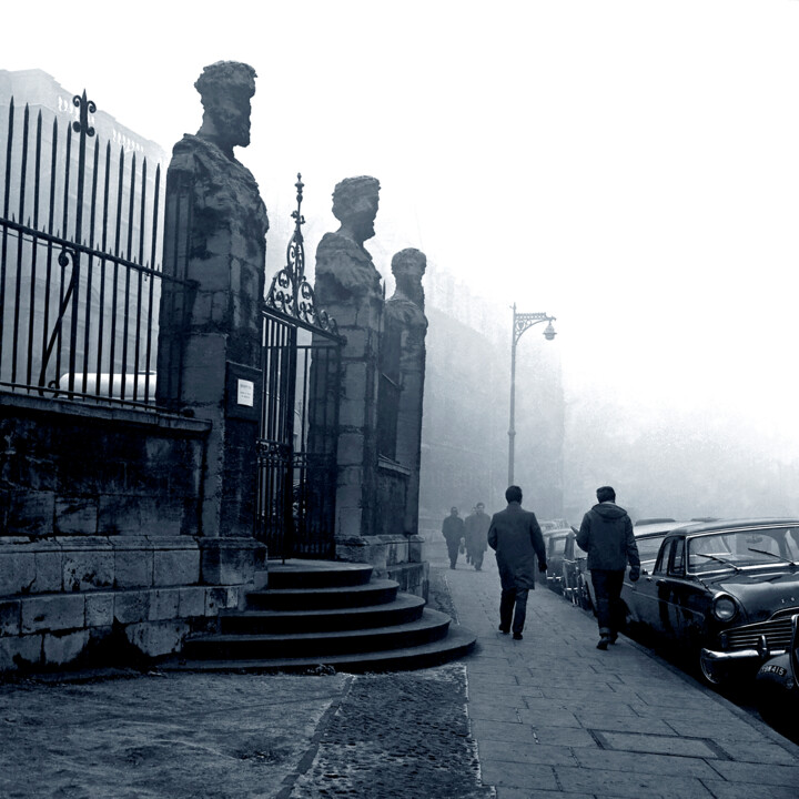 EMPERORS IN THE FOG Fotografia