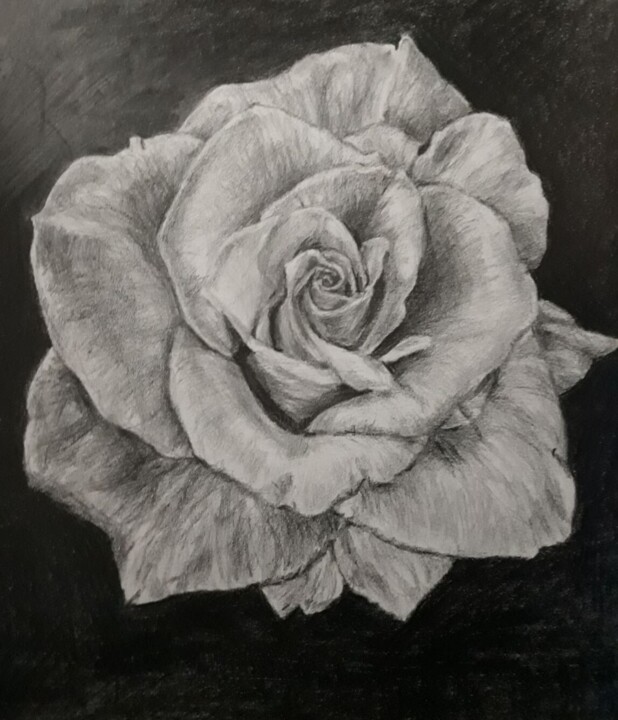 Desenho,  11,7x8,3 in 