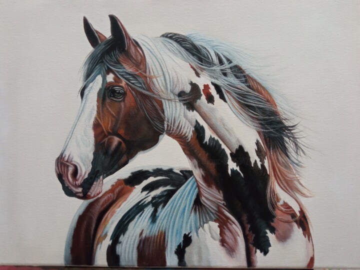 Cavallo Mustang Pittura, 11,8x15,8 in