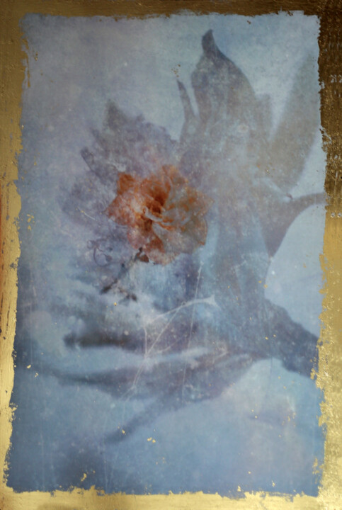 Ephemerality 摄影, 18.1x12.2 in