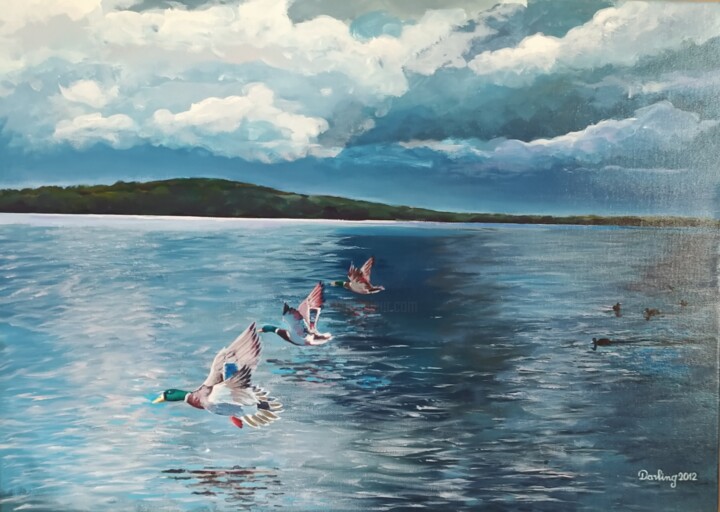 In volo sul lago 绘画, 19.7x27.6 in