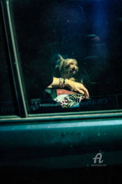 La dame au petit chien 摄影, 21.3x14.2 in
