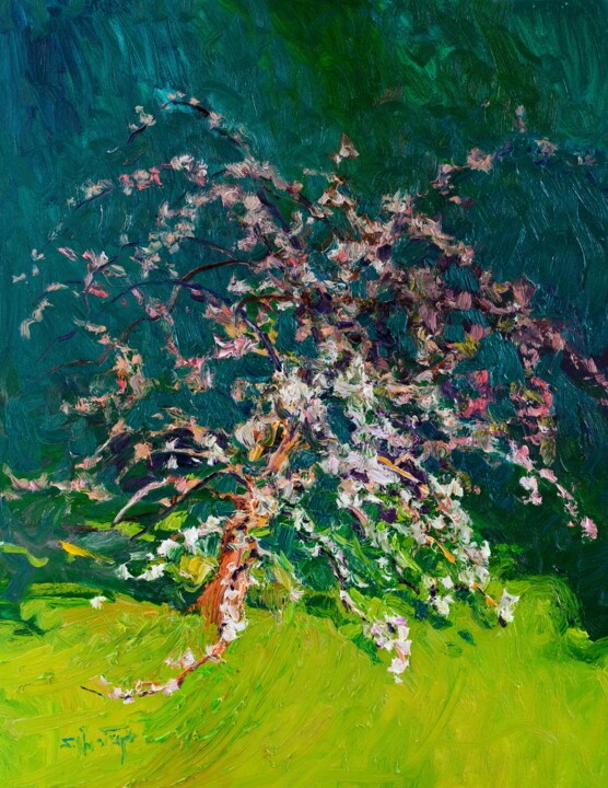 Blooming Apple Tree on the Edge of the Shadow Pittura, 28x22 in