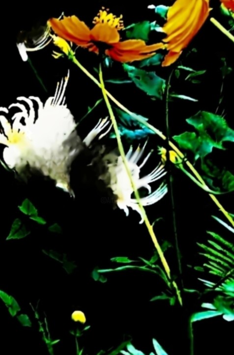 .untitled 摄影