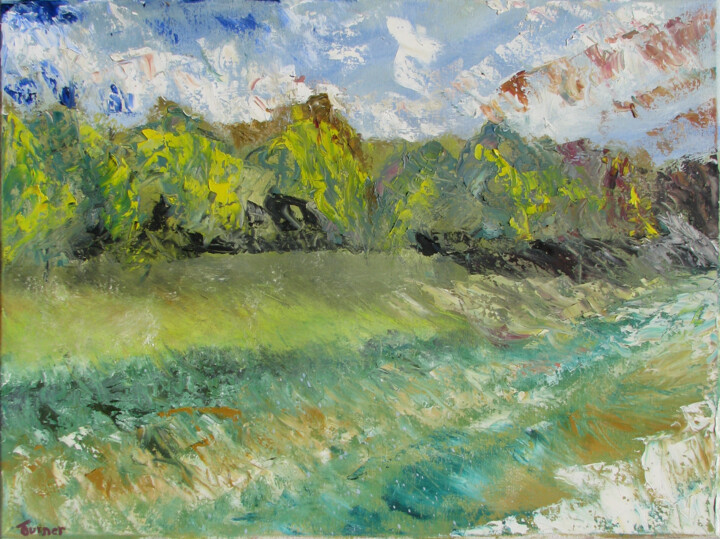 Peinture intitulée "Other Side Of Ravine" par C. E. Turner, Œuvre d'art originale, Huile Monté sur Châssis en bois