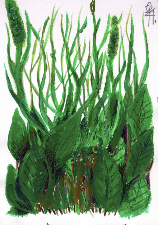 绘画,  8.3x5.9 in 