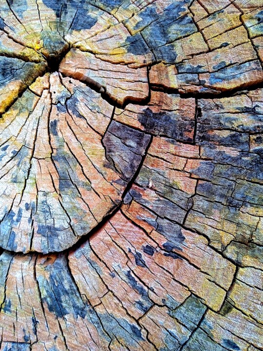 Arte digitale intitolato "Patchwork" da Peppeluciani, Opera d'arte originale, Fotografia digitale