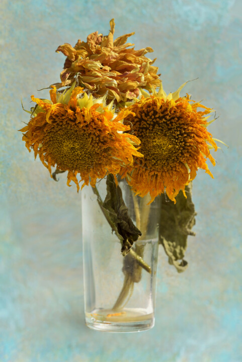 Flowerissimo_19861 Fotografie