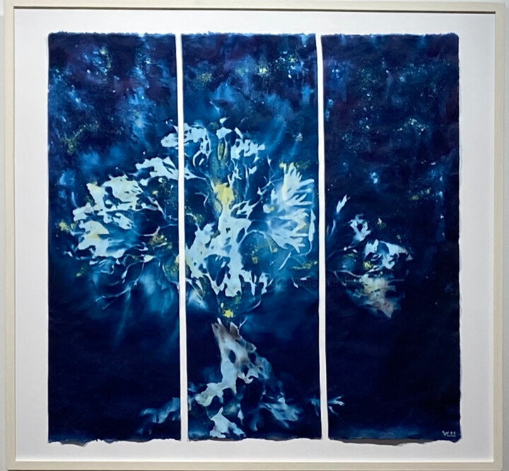 摄影,  26x34.3 in 