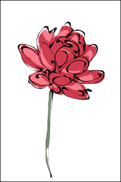 Beautiful red rose 数字艺术