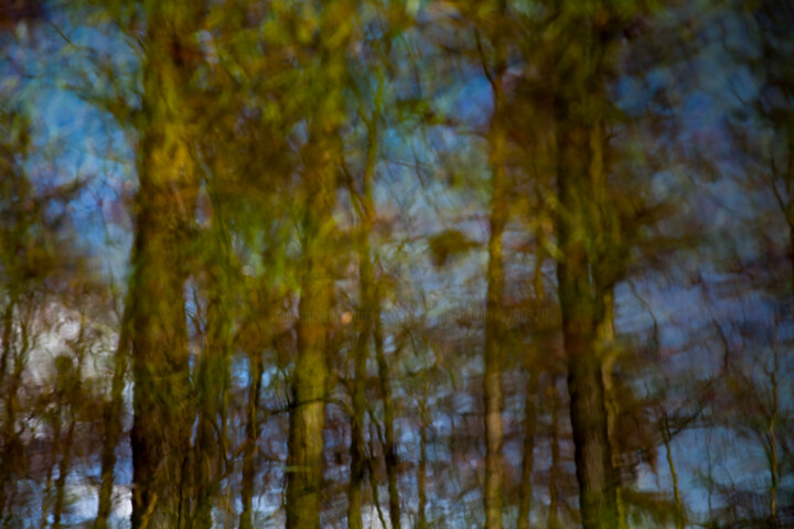 O & autres #5114B 사진, 11.8x17.7 in