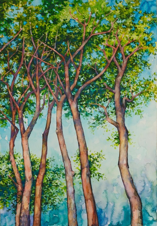 Plexus Pittura, 18,5x13 in