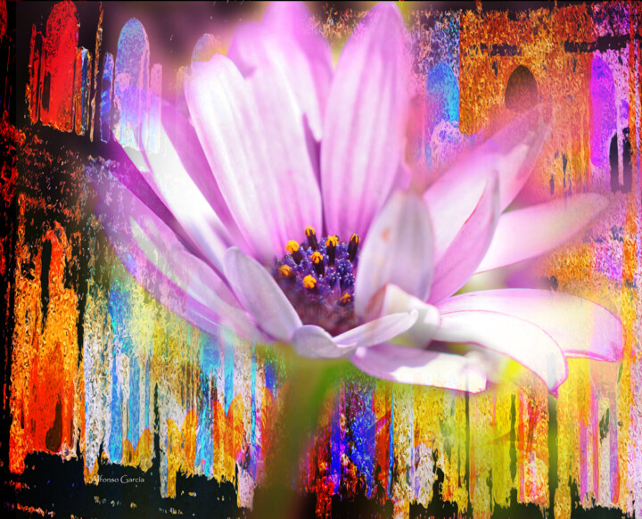 Flor en Parma 数字艺术