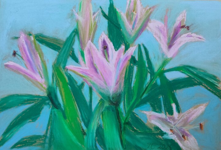 Pink lily flowers, 27x39 图画, 10.6x15.4 in