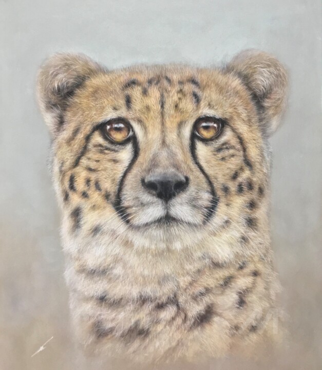 Cheetah portrait 图画, 13.8x11.8 in