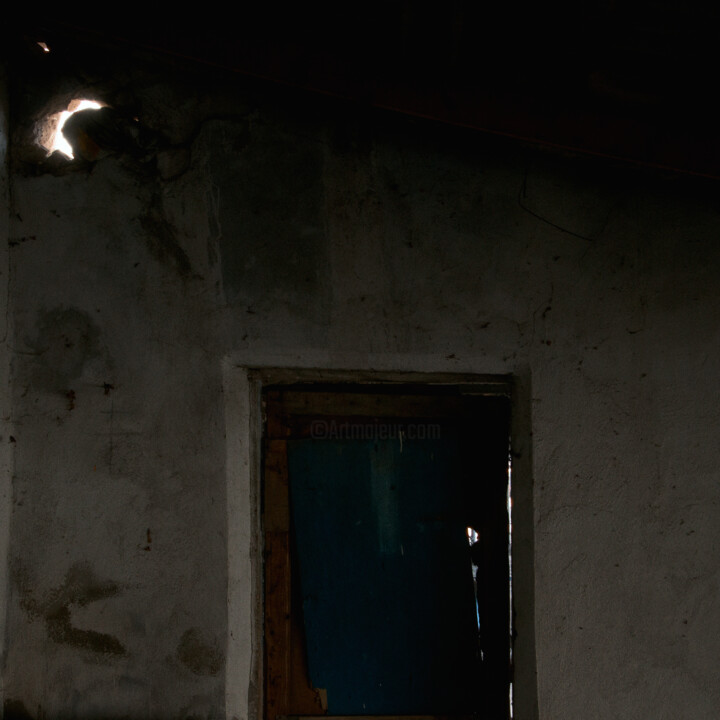 The light 摄影