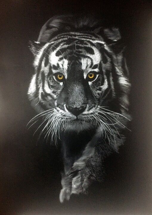 Tigre 图画, 39.4x27.6 in