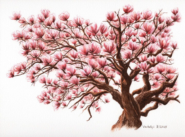 Magnolienbaum Drawing, 9.1x12.2 in