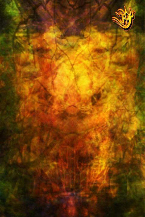 foxy format photo 摄影, 16.7x11.1 in