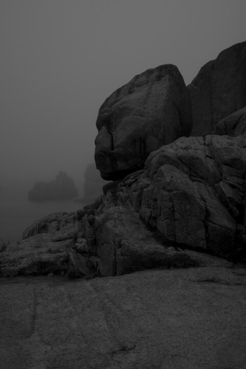 Gorilla in the mist, Bretagne, 2024 摄影, 23.6x15.8 in