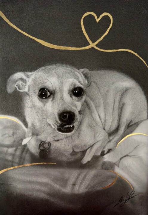Gigi Disegno, 16,5x11,7 in