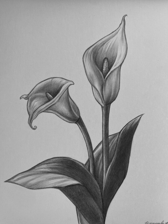 绘画,  11.7x8.3 in 