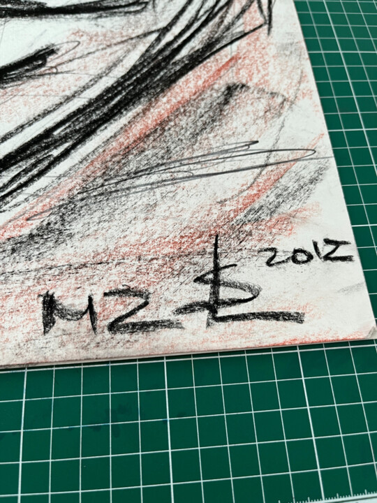 其他意见 3