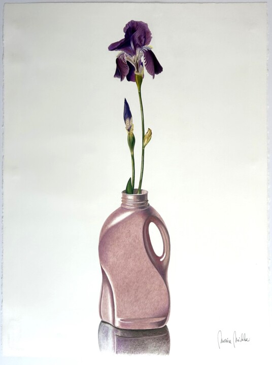 IRIS 图画, 29.9x22.1 in
