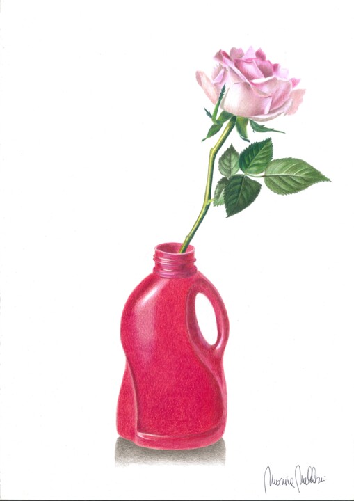 ROSA 图画, 16.5x11.7 in