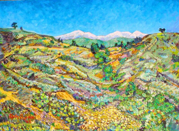 COYOTE HILLS FULLERTON Pintura, 24x30 in