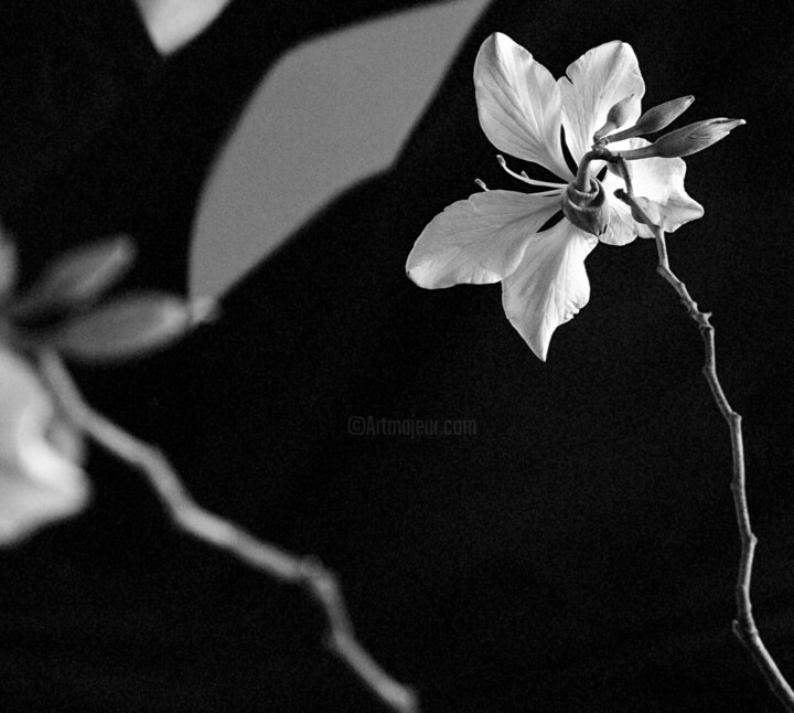 Details