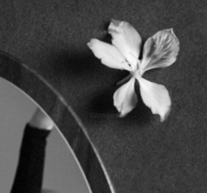 Details