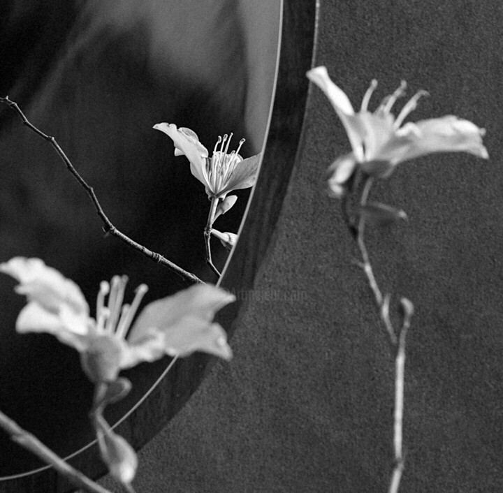 Details