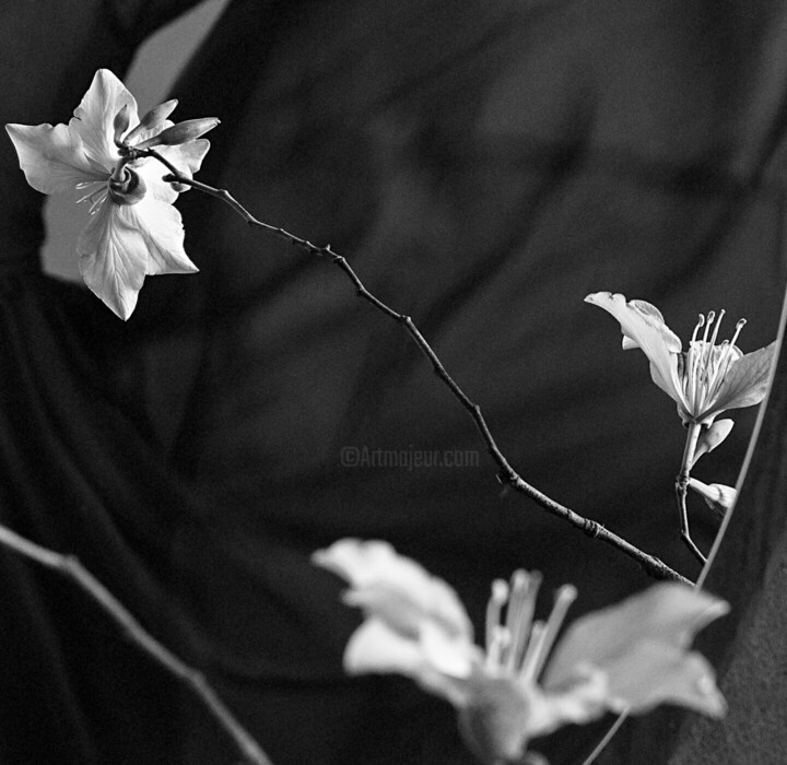 Details