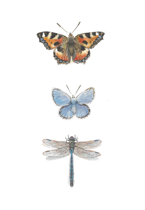 butterfly, dragonfly Картина, 11,2x7,7 in