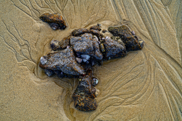Histoire d'eau et de sable 37. Фотография, 393,7x590,6 in