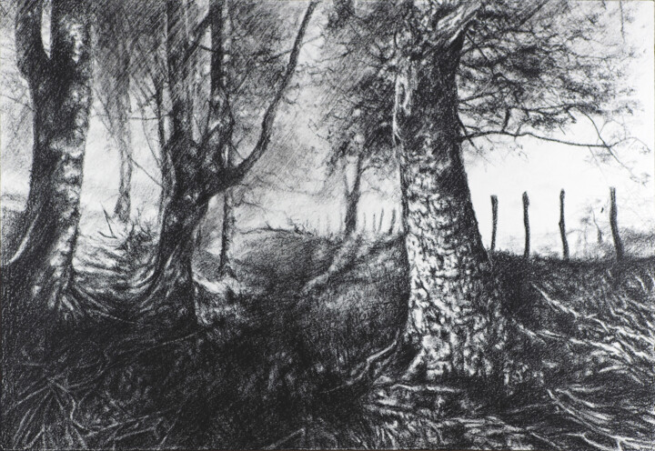 Desenho intitulada "Â travers le bois." por B. Alexis, Obras de arte originais, Giz