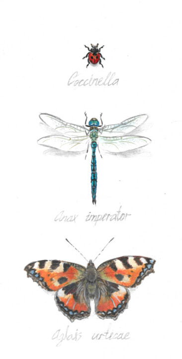 insects Tablo, 8,3x4,2 in