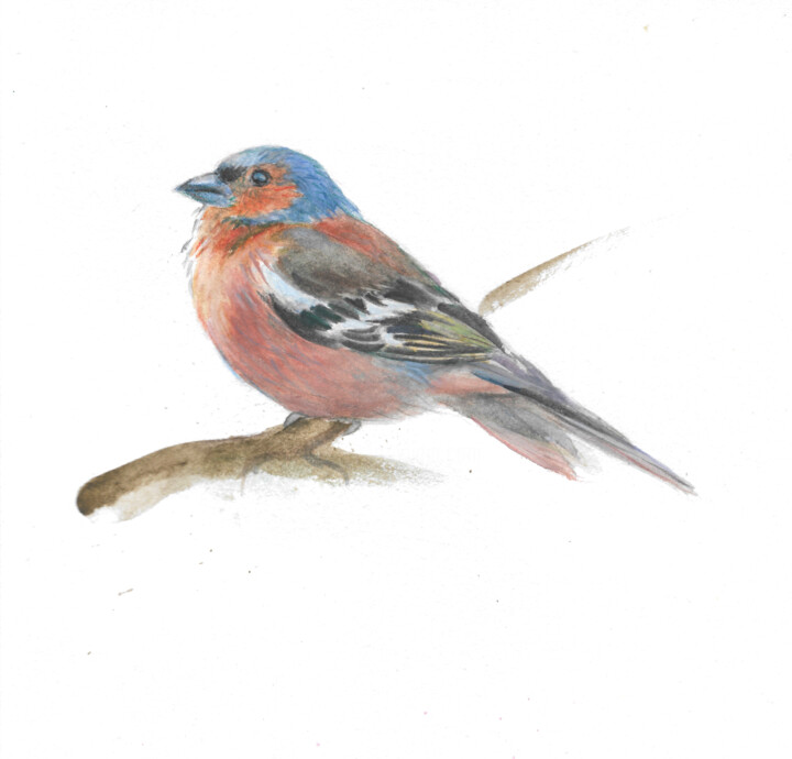 birdie 绘画, 8.3x8.8 in