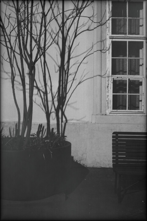 scene C (palace) Photography