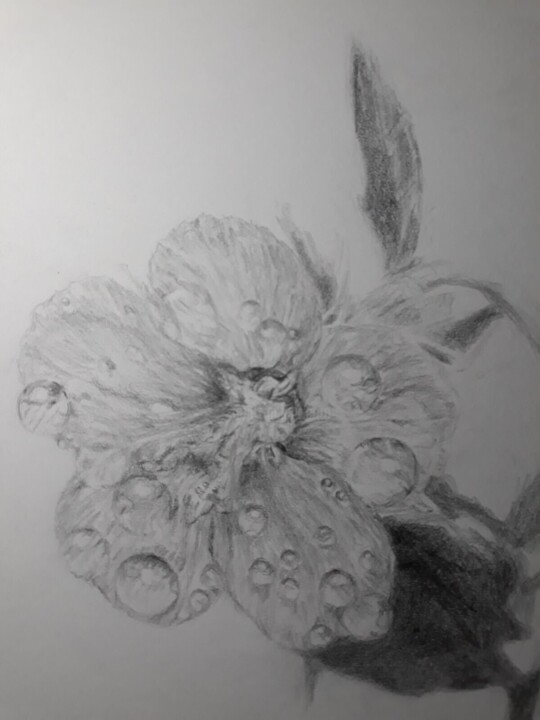 细节