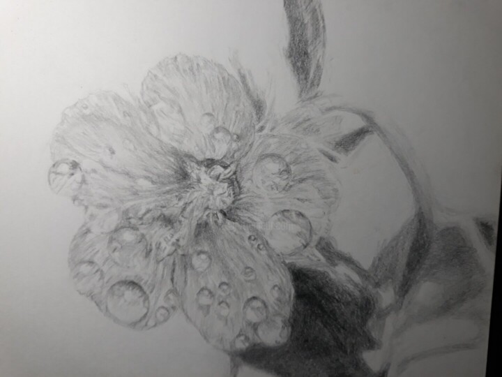 细节